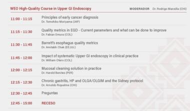 WEO High-Quality Course in Upper GI Endoscopy