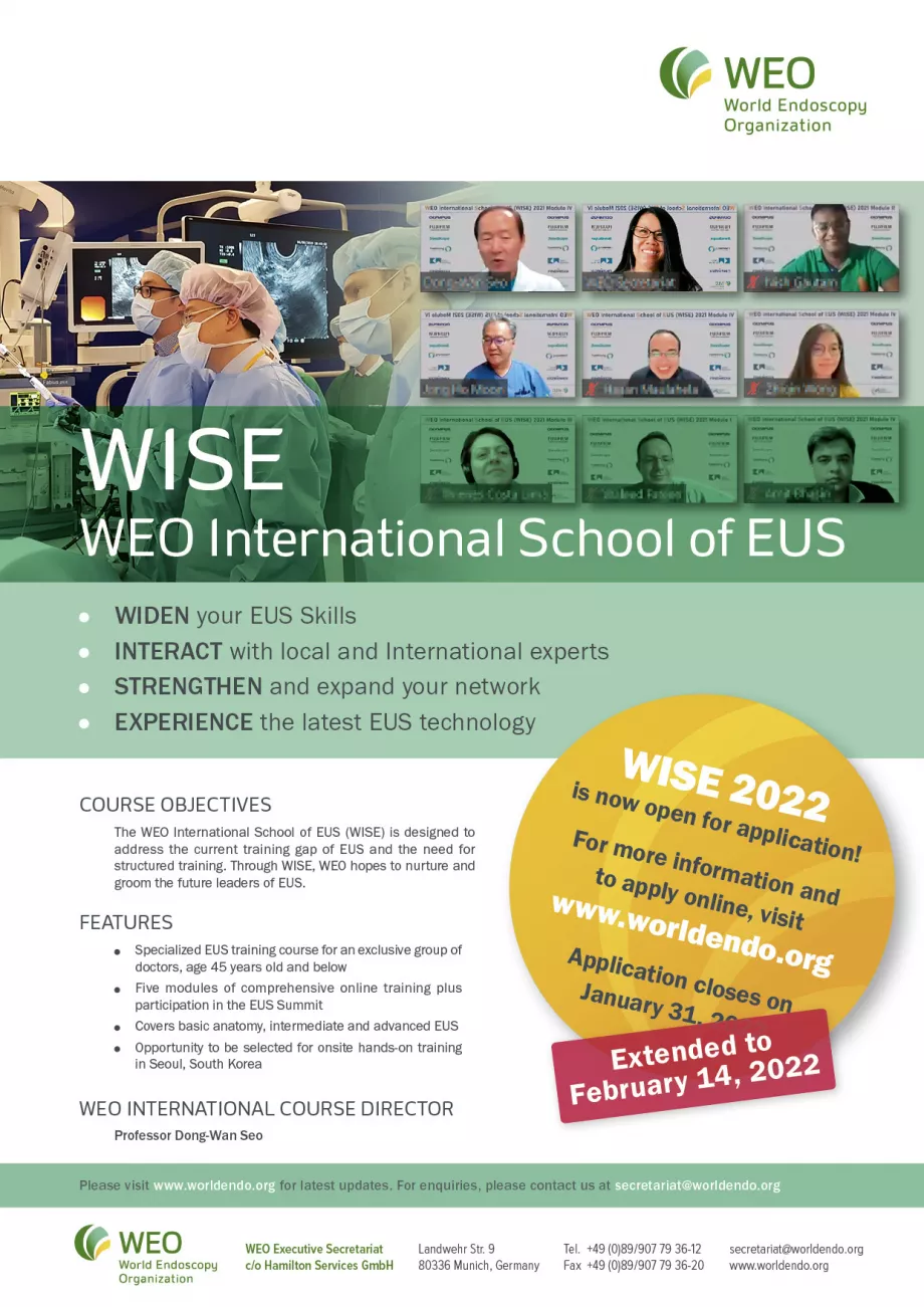 January 22 weo WISE eflyer