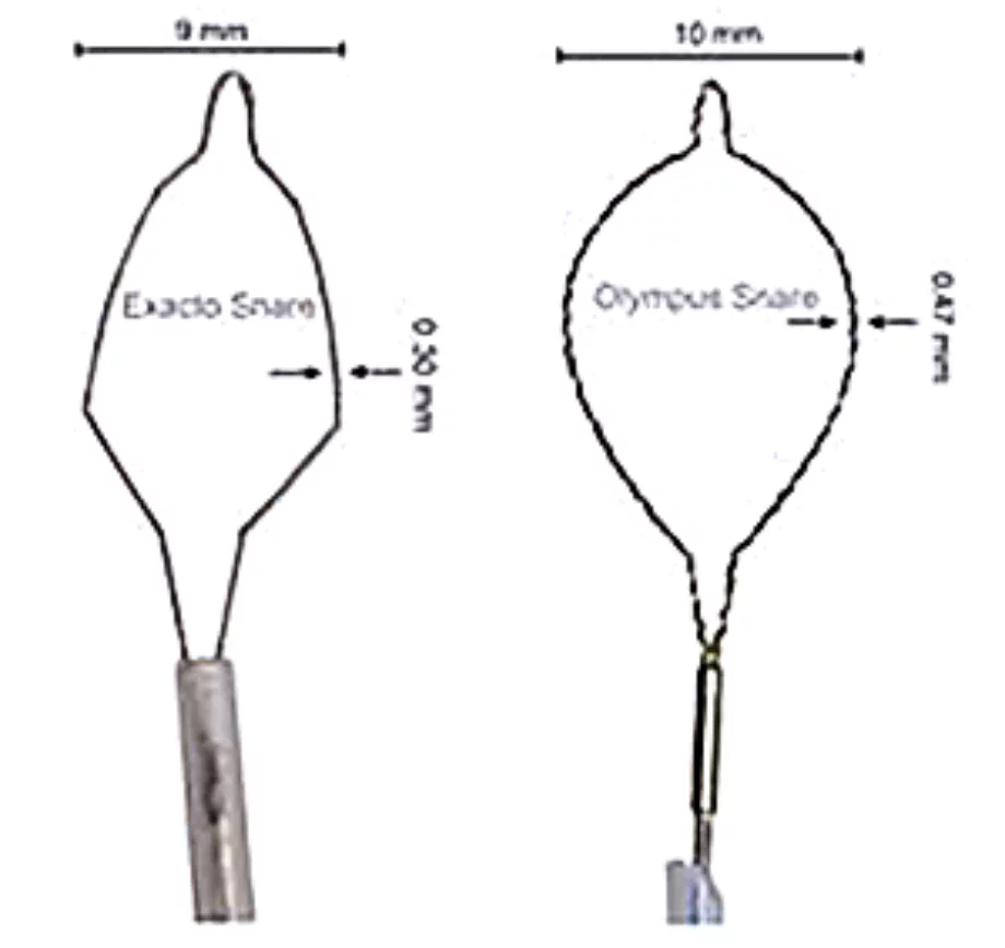 Figure2