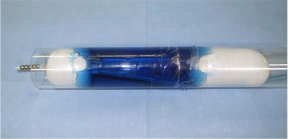 Endoscopy gastroenterostomy 2