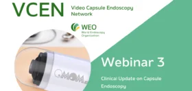 VCEN Flyer Copy