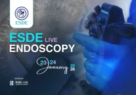 Afc62a1914d6 1763474779474