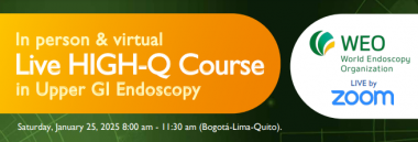 Live High-Q Course in Upper GI Endoscopy
