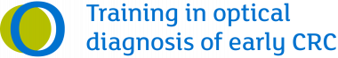 Optical Diagnosis of Early Colorectal Cancer - Online (Asynchronous Course)