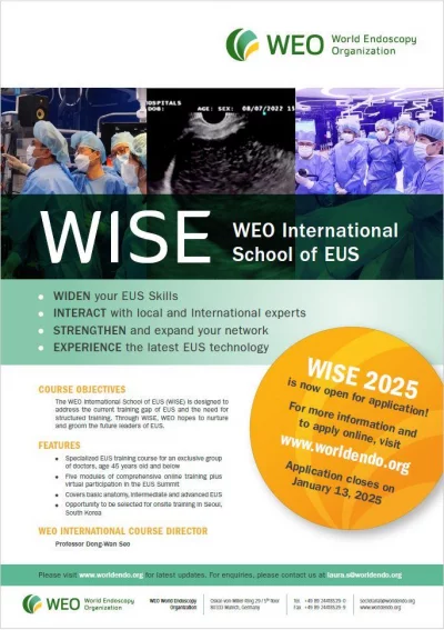 WISE 2025 flyer