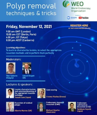 WEO SPP Webinar 12 11 2021 web