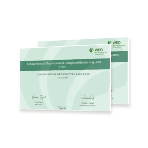 Core certificate